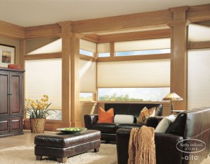 Cellular Shades Living Room